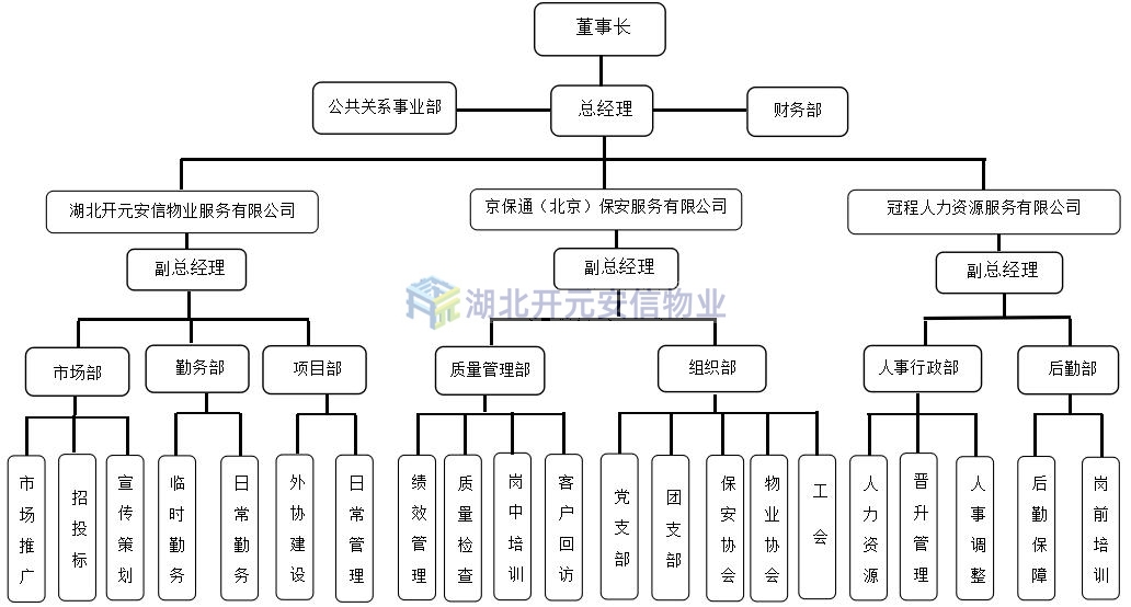 组织架构